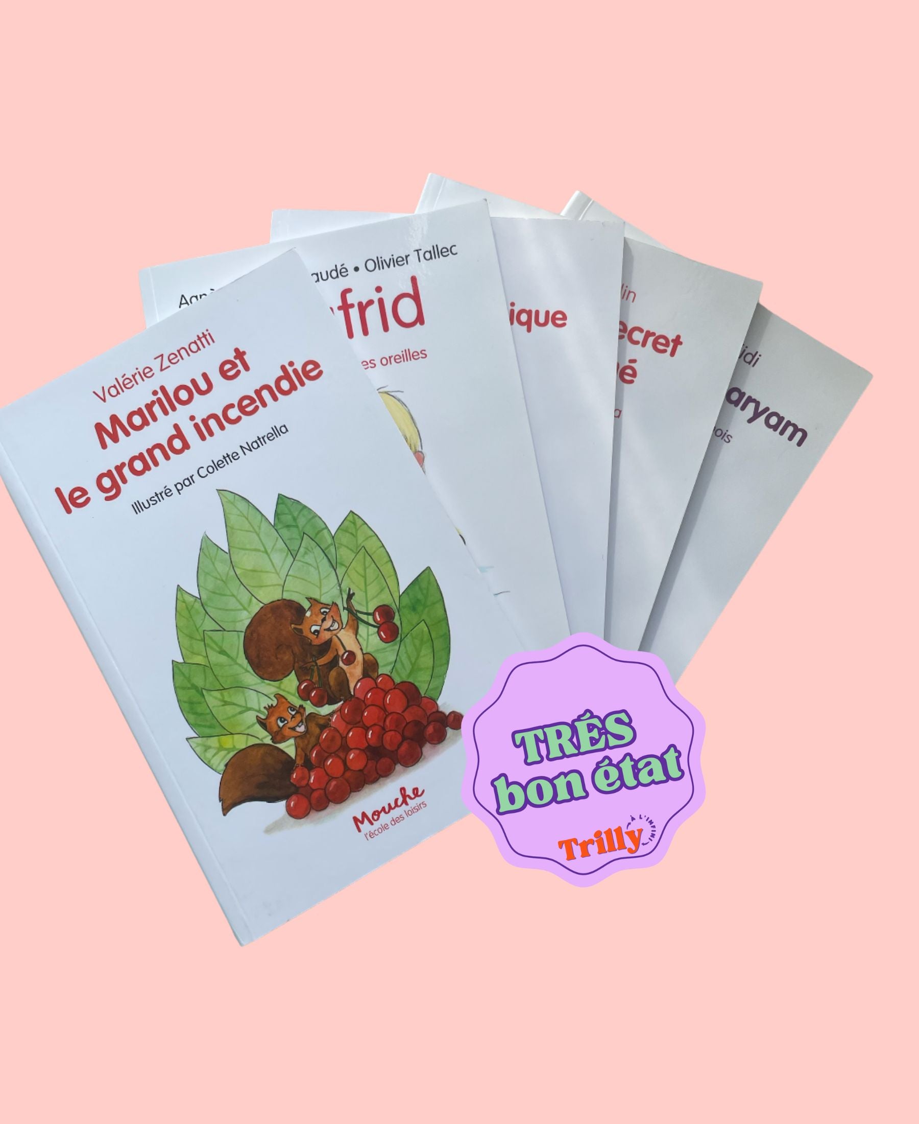 Lot de 5 romans I Mouche - école des Loisirs