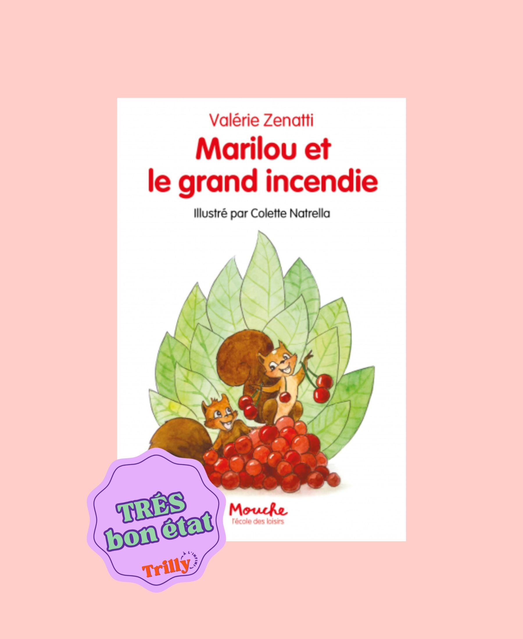 Marilou Et Le Grand Incendie