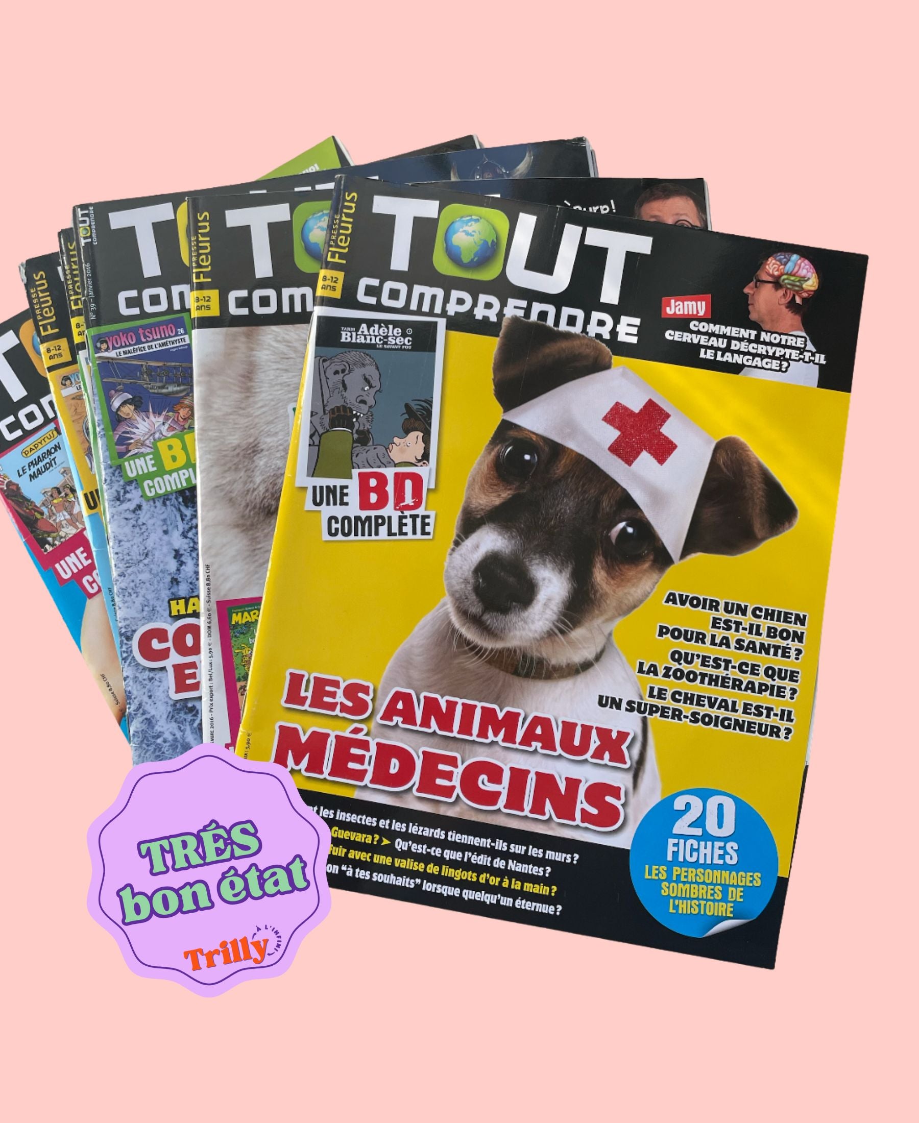 1 an de Magazines TOUT COMPRENDRE (N°2)